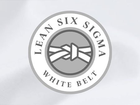 20225_sixsigma_certificate_icons_graphics_700x300_white.jpg__1459x626_q85_crop_subsampling-2_upscale